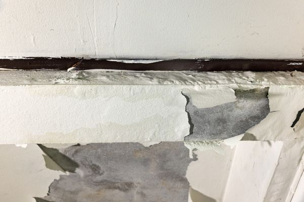 Cost of Porch Leak Repair in Brighton